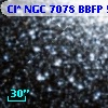 Cl* NGC 7078   BBFP     544