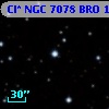 Cl* NGC 7078    BRO      10