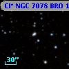 Cl* NGC 7078    BRO      12