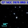 Cl* NGC 7078    BRO      17