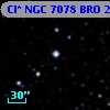 Cl* NGC 7078    BRO      23
