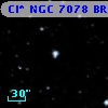 Cl* NGC 7078    BRO      24