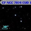 Cl* NGC 7078    CUD      11