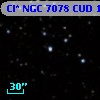 Cl* NGC 7078    CUD      19