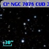 Cl* NGC 7078    CUD      21