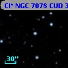 Cl* NGC 7078    CUD      38