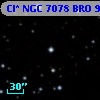 Cl* NGC 7078    BRO       9