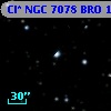 Cl* NGC 7078    BRO      13