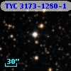 TYC 3173-1280-1