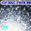 Cl* NGC 7078   BBFP     163