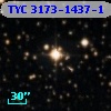 TYC 3173-1437-1
