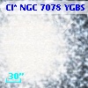Cl* NGC 7078   YGBS      81