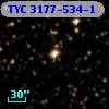 TYC 3177-534-1