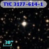 TYC 3177-614-1
