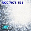NGC  7078   751