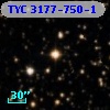 TYC 3177-750-1