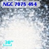 NGC  7078   484