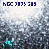 NGC  7078   509
