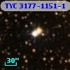TYC 3177-1151-1