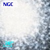 NGC  7078   407