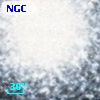 NGC  7078   503