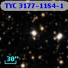 TYC 3177-1184-1