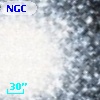 NGC  7078   313
