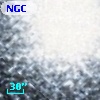 NGC  7078   697