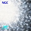 NGC  7078   301