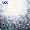 NGC  7078   520