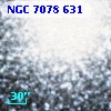 NGC  7078   631