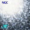 NGC  7078   405