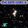 TYC 3177-1292-1