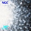 NGC  7078   199