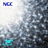 NGC  7078   217