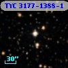 TYC 3177-1388-1