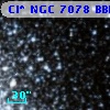 Cl* NGC 7078   BBFP     176