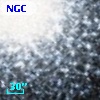NGC  7078   303