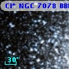 Cl* NGC 7078   BBFP     228