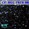 Cl* NGC 7078   BBFP     631