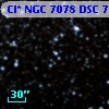 Cl* NGC 7078    DSC    7081