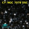 Cl* NGC 7078    DSC    6883