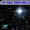 Cl* NGC 7078    DSC    5613