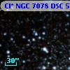 Cl* NGC 7078    DSC    5555