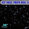 Cl* NGC 7078    DSC    5479