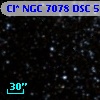 Cl* NGC 7078    DSC    5168