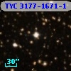 TYC 3177-1671-1