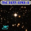 TYC 3177-1783-1