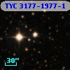TYC 3177-1977-1