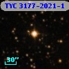 TYC 3177-2021-1
